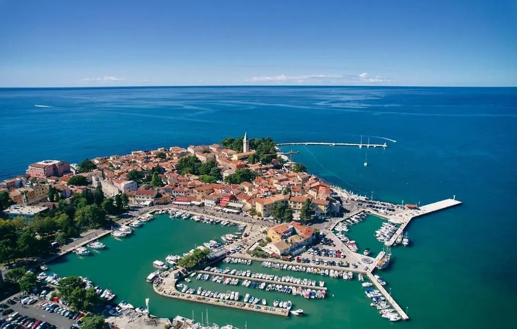 Beautiful Villa Piccolo Paradiso In Novigrad Buzinija